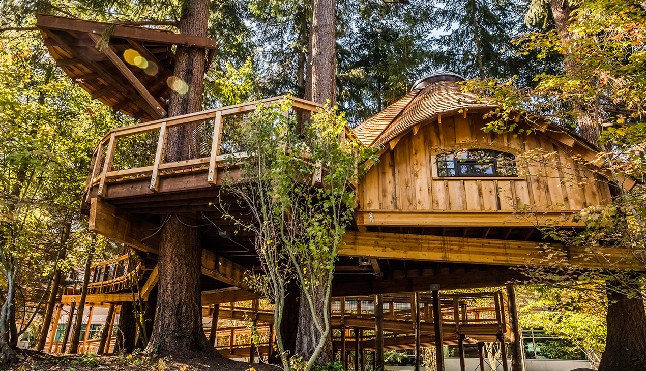 Treehouses, Rooftop Bars, and a Pool: Check Out These 9 Awesome Outdoor ...