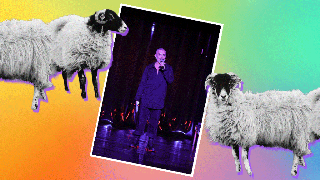 Gey Rams The Special Test That Helps This Company Identify Gay Sheep