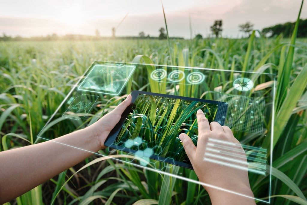 Technology's Future Is in Ohio - Vimarsana News