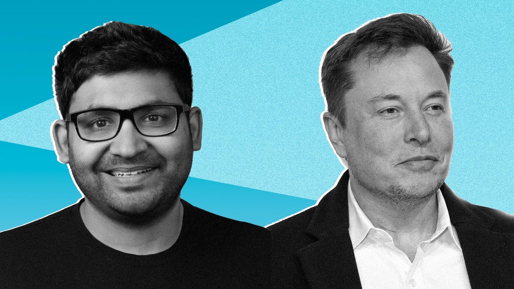 In 2 Words Twitter CEO Reveals Why Elon Musk Will Fuel Growth-Everybody Can Access It - Vimarsana News