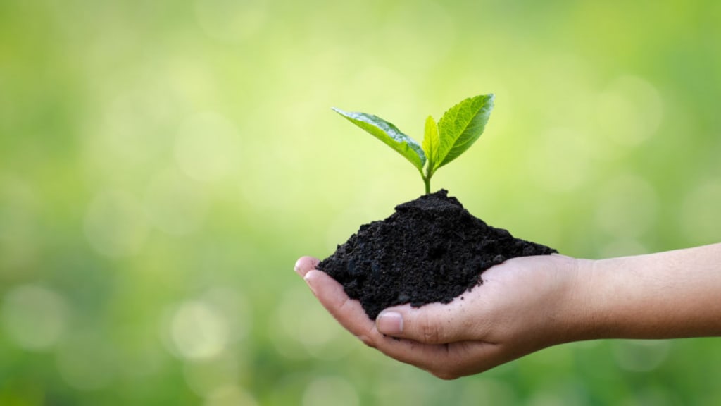 3 Earth-Friendly Tactics for Every Small Business