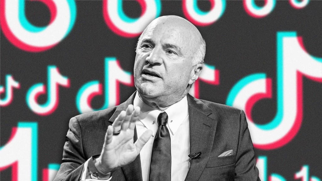 Kevin O'Leary Wants to Buy TikTok and Make It Part of Mr. Wonderful's Empire