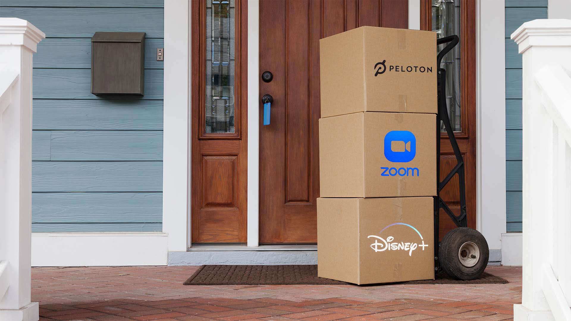 What Disney+, Peloton, and Zoom Can Teach Your Business About D2C