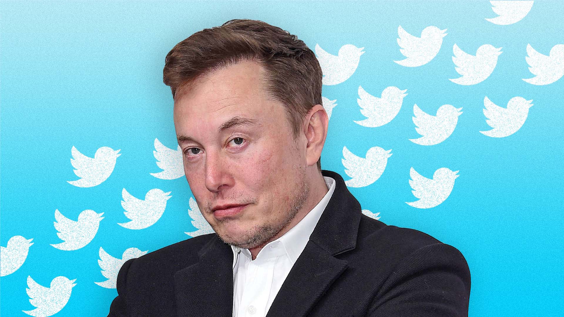 Is Elon Musk on to Something? New Study Finds Frequent Tweeting Helps You Rise to the Top in Business