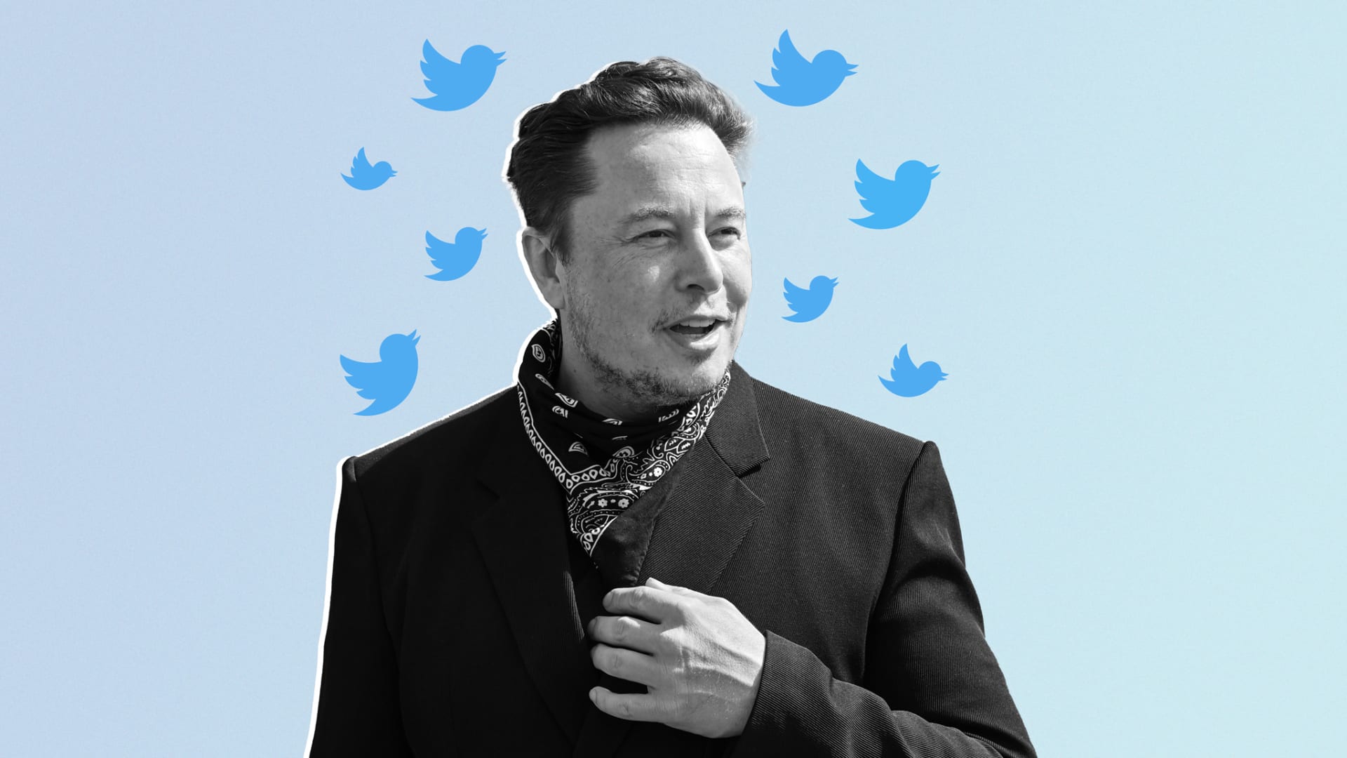Social Media Antics and Twitter Stunts Work for Elon Musk. But Will it Work for You?