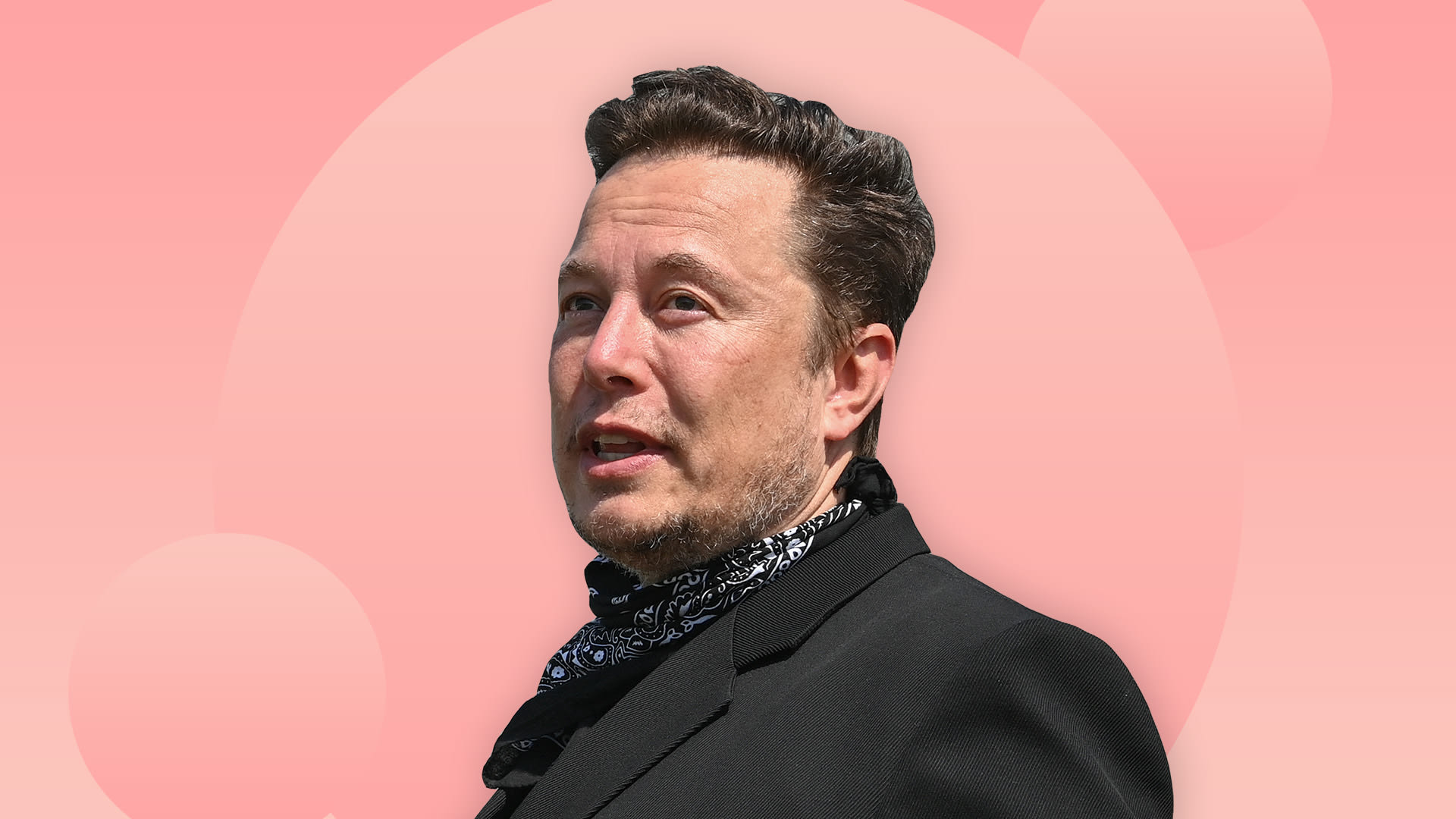 How Should Elon Musk Respond To Twitter Criticism By Taking A Page Out Of His Own Playbook From 3535