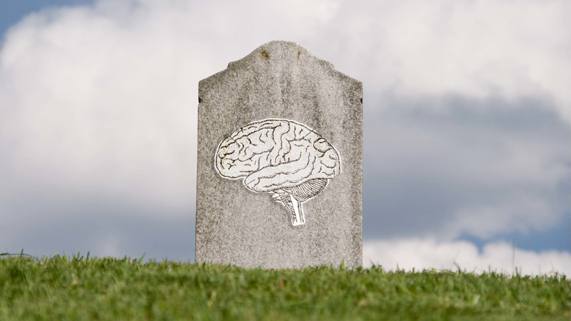 Neuroscience Says This Might Be What Happens to Your Brain When You Die