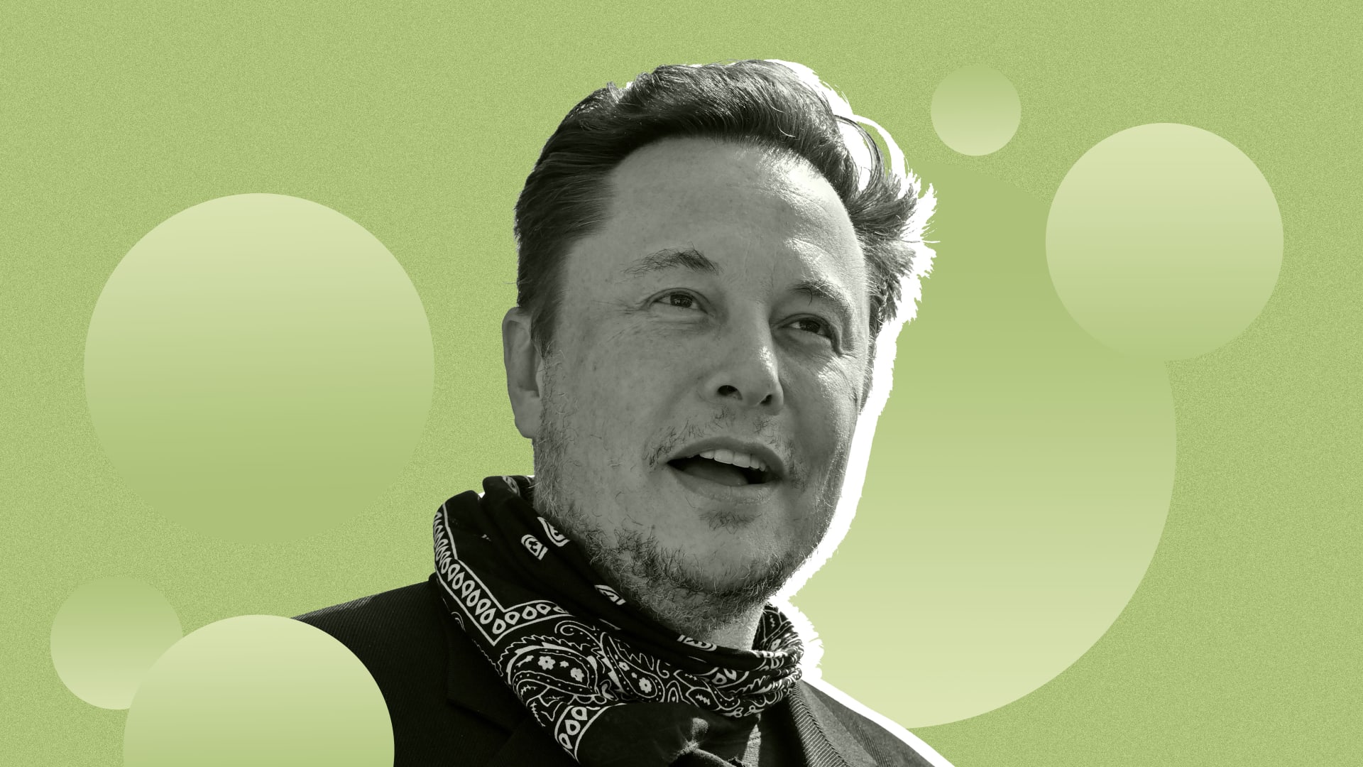 Elon Musk / 