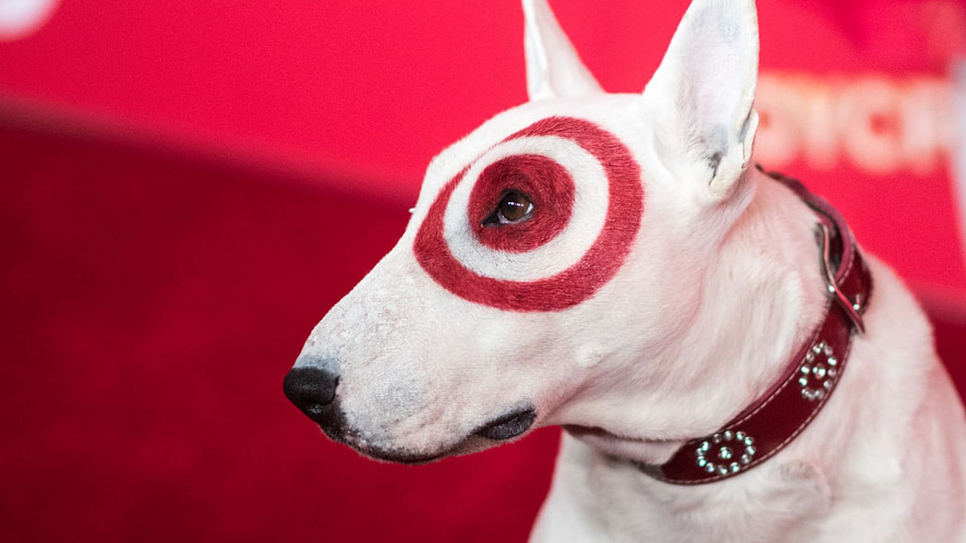 This 1 Number Explains Target's Strategy to Beat Amazon. It's a Stroke of Genius