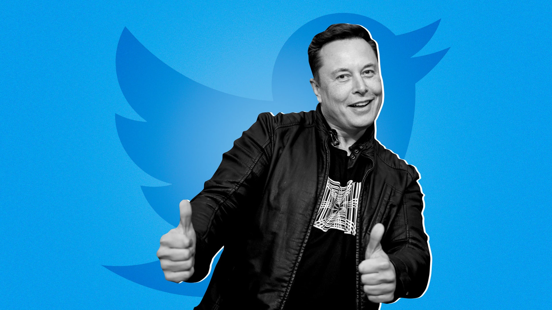 Here's the Brutal Truth About Elon Musk and Twitter That Nobody Wants to  Admit | Inc.com