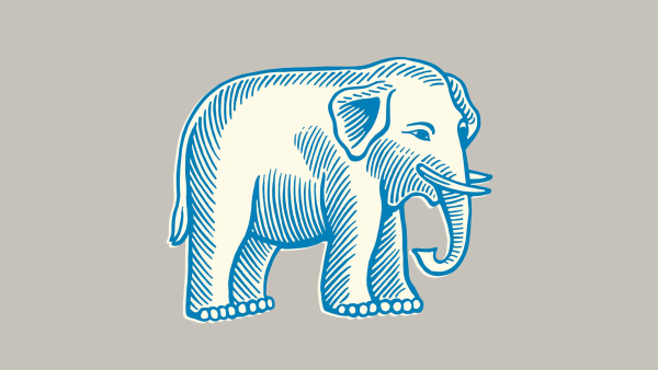 How to grow innovation elephants in large organizations –