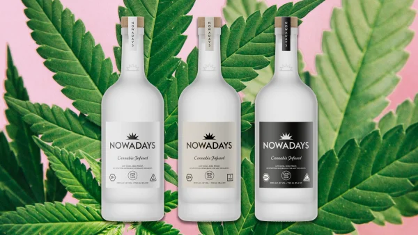 How Cannabis Brand Nowadays Could Help Alcohol Distributors Out of